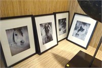 Set of 4 Black & White Horse Prints