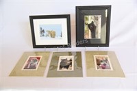 Signed Photograph Style  Animal Pictures