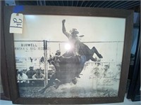 Bull Rider Picture  signed by Freckles Brown