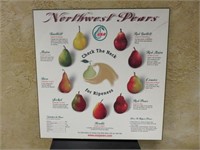 "Northwest Pears" Poster Board-Has Knicks Marks
