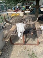 LL - Cow Skull with Horns