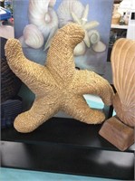 Seagrass starfish