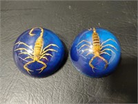 Resin Encapsulated Scorpions
