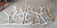 Misc Elk Antlers (some sets, most are misfits)