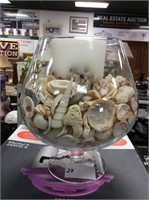 Snifter of shells