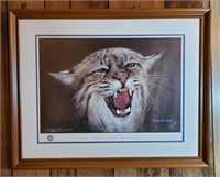 "The Kentucky Wildcat" print signed and numbered.