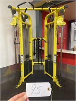 Life fitness Dual Adjustment Pulley