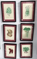 SET OF 6 VEGETABLE WATERCOLORS ARTIST SIGNED