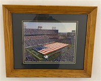 Titans Stadium Framed Picture