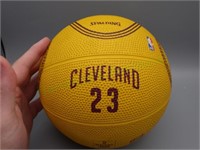 Spalding Promotional LeBron James Mini Basketball!