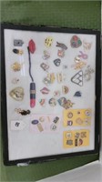 pin collection on case