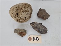 (4) Brachiopod Fossils