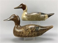 Evans Pair of Pintail Duck Decoys