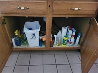 Cleaning Items Cabinet under Sink- All Contents