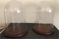 Glass Cloche Display Dome w/wood base 
13” x 9”