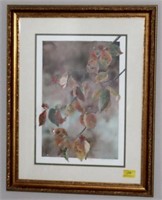 FALL LEAVES BY CONNIE PROCO #993/1000 PRINT