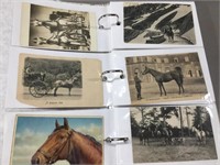 Horse Related Postcard Binder
