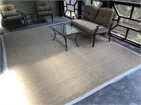 Great Indoor/Outdoor Area Rug