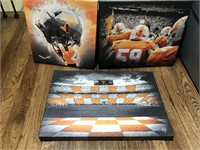Collection of University of Tennessee Vols Prints