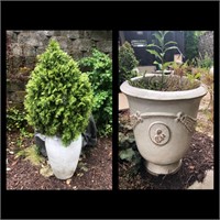 2 Planters with Plant and Tree