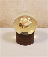 Nature Gems Hermit Crab Globe Décor