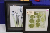 Two Wall Hanging Plant Pictures