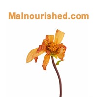 Malnourished.com