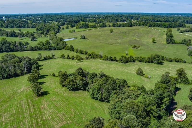 65+/- Acre Farm