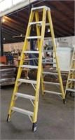 Warner 8' Ladder