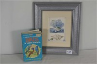 Birds Of North America Book And Framed Print