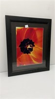 Inside of a tulip print in frame
