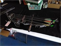 Compound Bow with Arrows