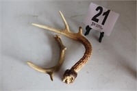 (2) Deer Antlers