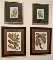 4 pcs Flower Prints in Frames