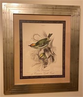 Framed Print by William Home Lizars