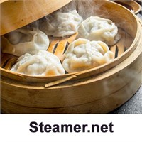 Steamer.net