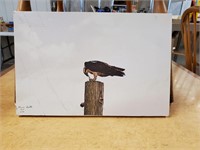 BIRD CANVAS PICTURE SIGNED & NUMBERED