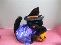 Black Cat with Pumpkin