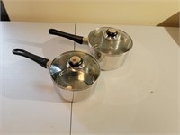 2 Stainless Steel Pans