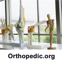 Orthopedic.org