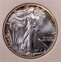 Silver $1  American Eagle, 1989  uncirculated