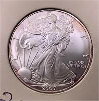 Silver $1  American Eagle, 2007  uncirculated