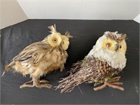 Two (2) owls