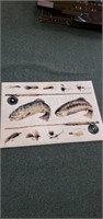 Shaw Industries fish themed rug, 2 ft 3 in x 3 ft