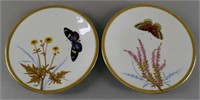 Royal Worcester Butterfly Cabinet Plates