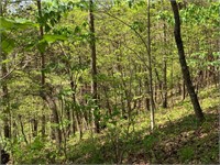 Unrestricted Wooded Property for Sale East TN