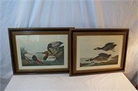 Two Framed Audubon Color Lithos Matching Set