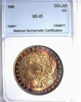 1886 Morgan NNC MS-65