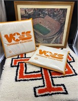 UT Vols Cushions, Rug & Picture