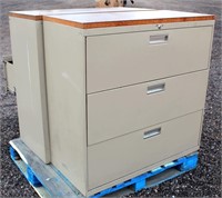 (2) Filing/Storage Cabinets
